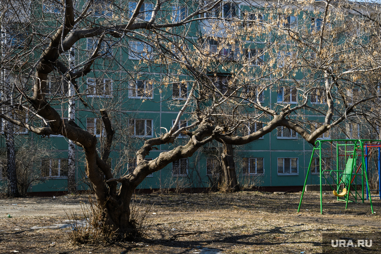 Виды Екатеринбурга, двор, поляна, детская площадка, дерево