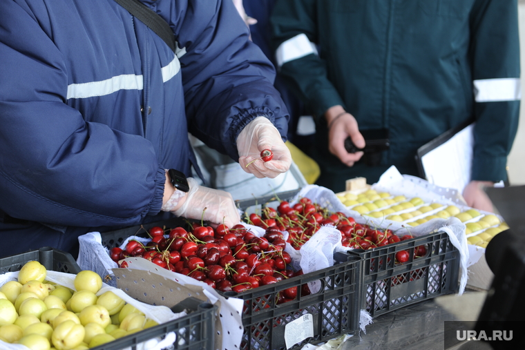 Таможня, фрукты. Челябинск, продукты, таможня, фрукты, продовольствие, ягоды, черешня, таможенный пост, фитосанитарный контроль, россельзхознадзор