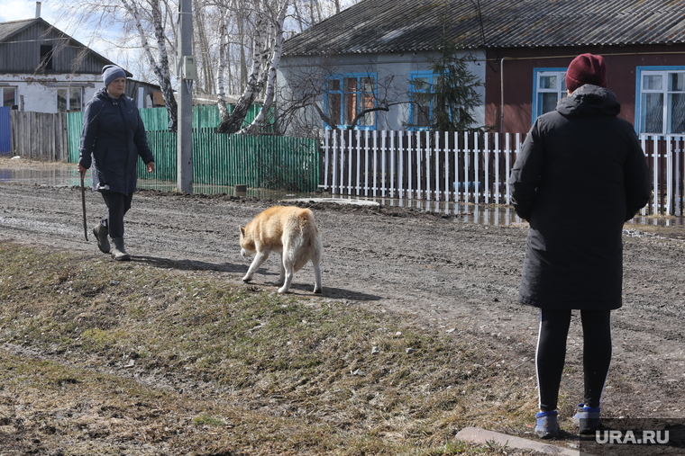 Большие Ярки, паводок. Большие Ярки, половодье, чрезвычайная ситуация, паводок, село, наводнение, сельские жители, стихийное бедствие, разлив
