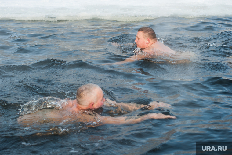 Заплыв моржей. Екатеринбург, прорубь, зима, здоровый образ жизни, закаливание, зимний отдых, моржи
