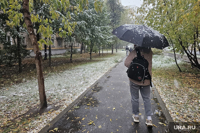 Первый снег в Москве, тротуар, снег, аллея, девушка, зонт, снегопад, осадки