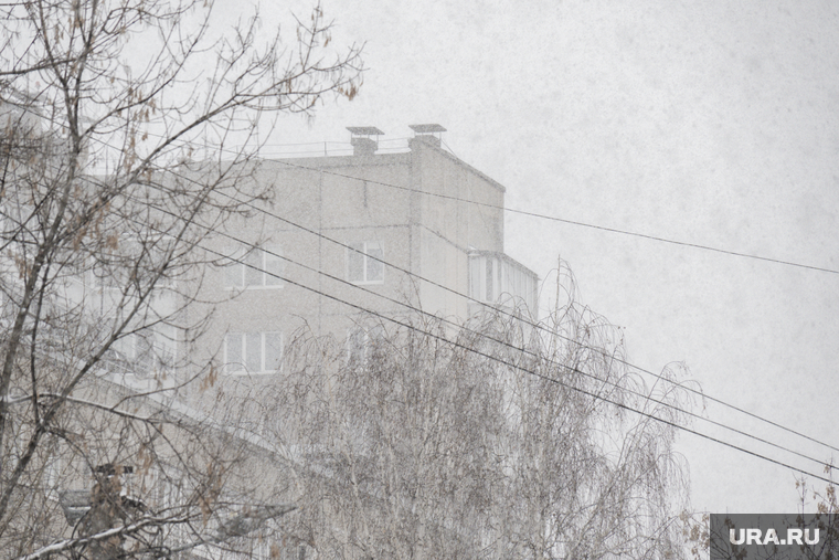 Снегопад. Пермь, многоэтажка, снегопад, зима, метель, климат