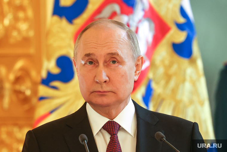 Президент России Владимир Путин на встрече с доверенными лицами. Москва, путин владимир