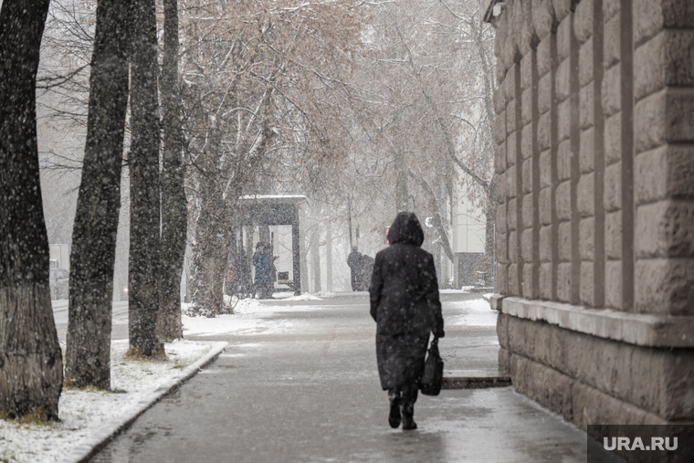 Снегопад. Пермь, тротуар, снегопад, зима, метель, женщина, климат