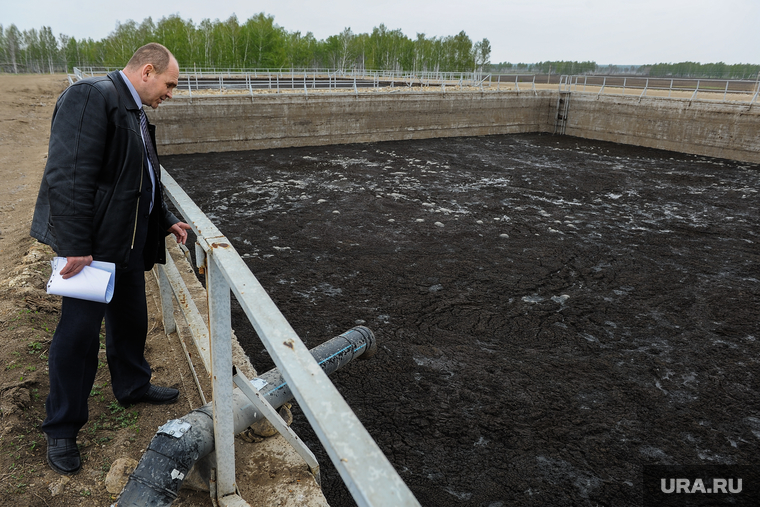 Навозохранилище красногорского свинокомплекса "Ариант". Челябинск, тузов сергей, свиные фекалии