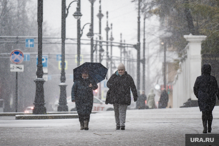 Снегопад. Пермь, снег, зима, погода, снегопад, компрос, осень