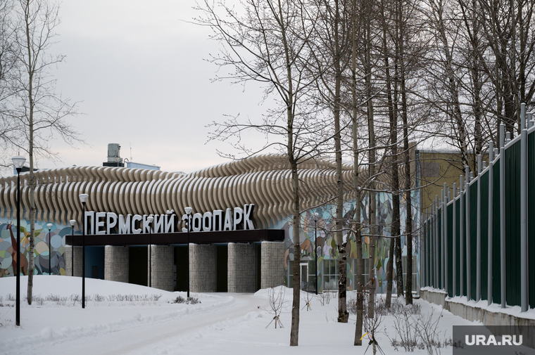 Коллекция зоопарка уже пополнилась новыми обитателями