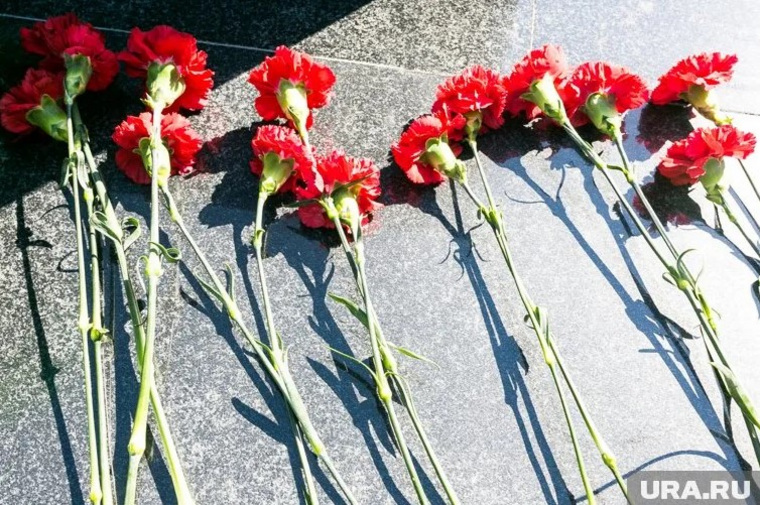 Открытие улицы, названной в память о Дмитрии Лашове, запланировано на 10 июня