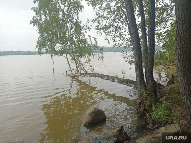 Кто рискнет тут купаться?