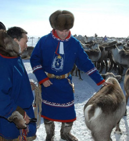               Перед губернатором Кобылкиным (на фото) стоит серьезная дилемма – как урегулировать взаимодействие коренного населения и промышленных гигантов, которые приходят в регион для реализации новых проектов               