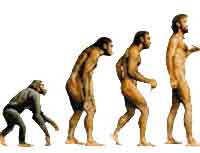 Реферат: Эволюция Дарвина