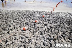 По мнению горожан, зона отдыха нуждается в доработке