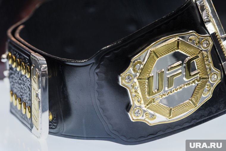 Дмитриев допустил проведение турнира UFC в России в 2025 году