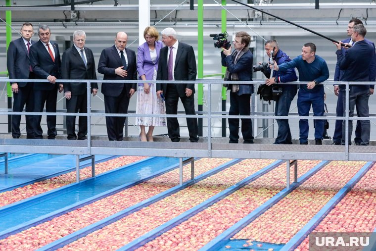 Яблоки из Северной Осетии продаются в торговых сетях по всей стране