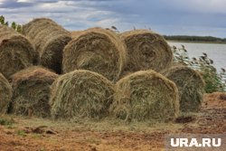 Огнем было уничтожено около 500 тюков сена