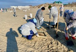 Для ликвидации выброшенного на берег мазута привлекаются специалисты и волонтеры