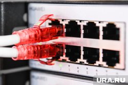 Компания «Северный ветер» проводила интернет-кабель в труднодоступные районы