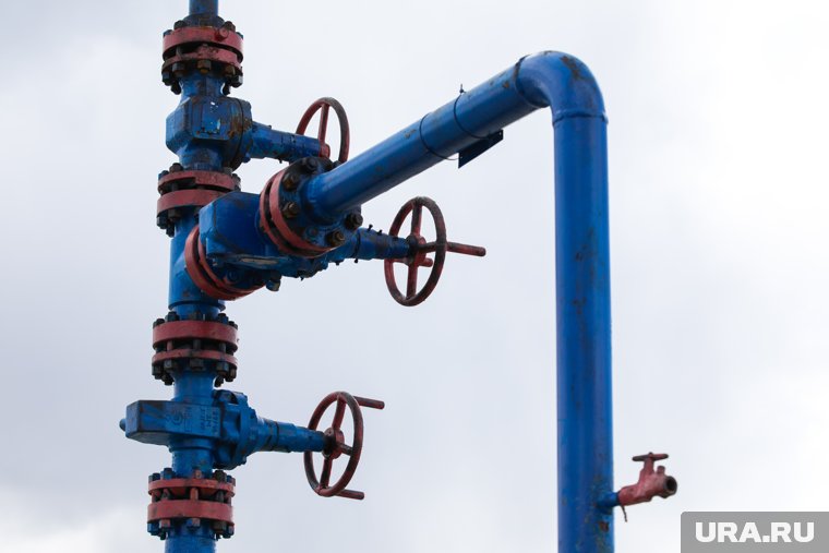 Словакия боится прекращения поставок от «Газпрома»