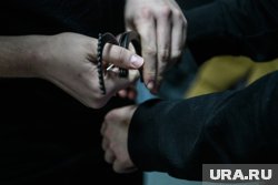 Участники преступной группы наркосбытчиков в Шадринске заключены под стражу