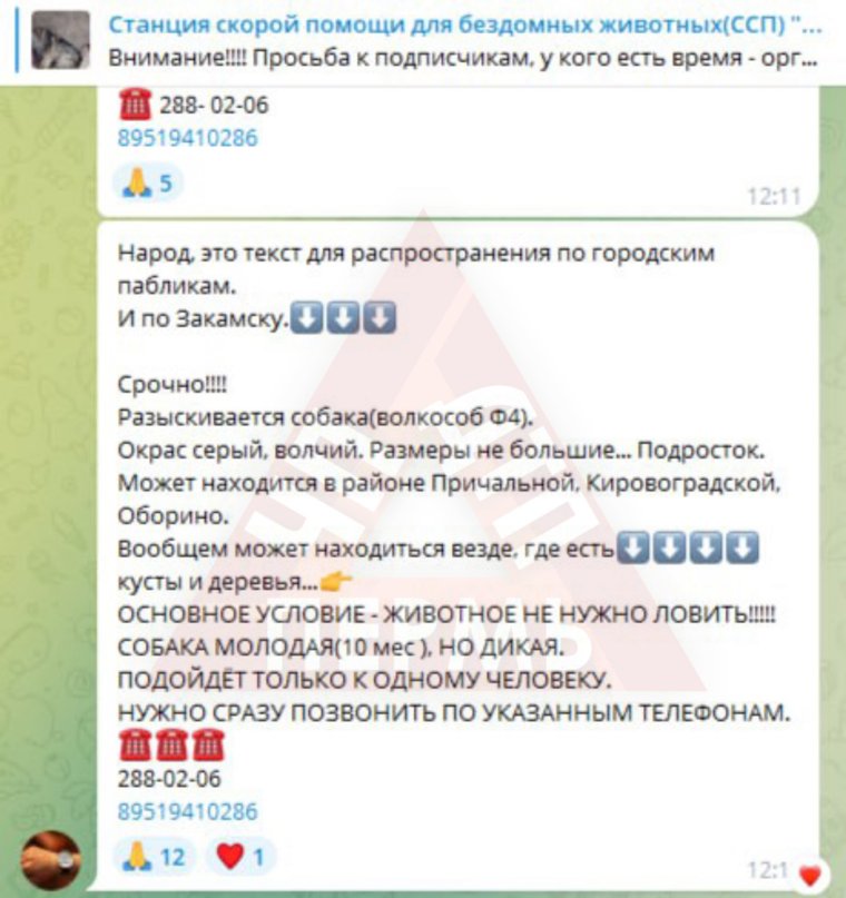 Это сообщение распространяется по местным пабликам