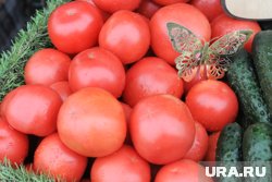 Домашние томаты продают дороже, чем на рынках и в супермаркетах