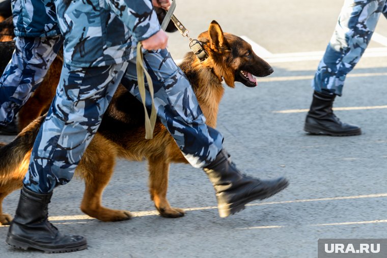 В школы и торговые центры Нижневартовска поступили письма с угрозами минирования