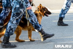 В школы и торговые центры Нижневартовска поступили письма с угрозами минирования