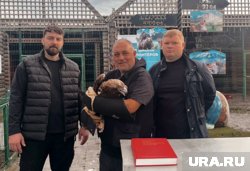 Экологи вылечат редкого краснокнижного орла