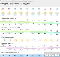Обильные дожди будут идти в Шадринске всю неделю