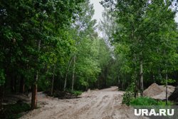 В парке будут как пешеходные дорожки, так и полосы для велосипедистов