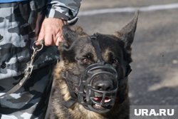 Права кинологов помогла отстоять прокуратура