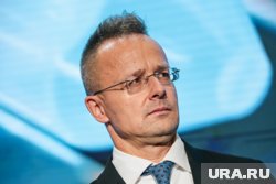 Венгрия обратилась к ЕС с требованием ввести санкции против украинских военных