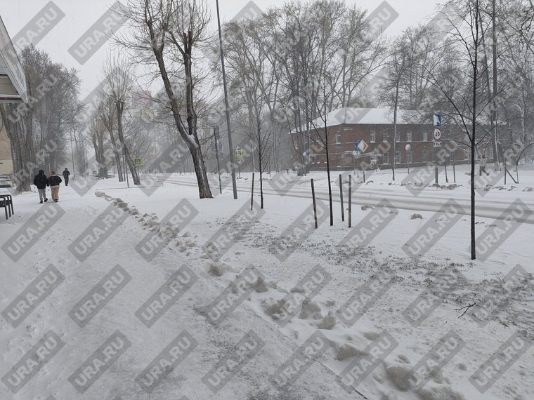Горожане отметили хорошую уборку улиц