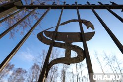 Случаи холеры в ДНР не выявляли уже 20 лет