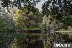 В Екатеринбурге днем 27 мая ожидается от +10 до +12 градусов