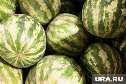 Съевшие арбузы россияне массово жалуются в египетские больницы