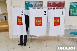 В Курганской области по ДЭГ проголосовало более 26 тысяч человек