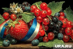 Черника и черная смородина обладают противоопухолевыми свойствами
