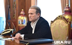 Медведчук отметил отсутствие контроля над радикальными элементами внутри Украины