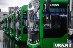 В ближайшие пять лет в ХМАО появятся 436 современных автобусов