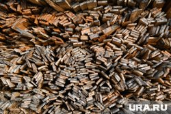 Крупнейший добытчик леса Тюменской области принес прибыль лишь раз за семь лет