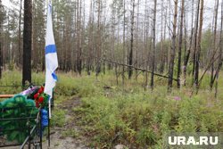 Срочную проверку на кладбище с могилами участников СВО проводят власти