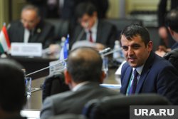 DPA: Путин выступил за новый мировой порядок перед участниками ШОС