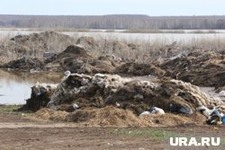 Несанкционированная свалка была обнаружена после обращения местного жителя