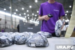 Площадь нового склада Wildberries составляет 158 тысяч «квадратов»