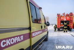 Водитель фуры скончался после ДТП на трассе (архивное фото)