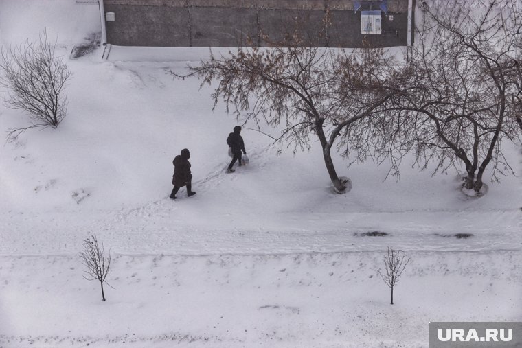 Морозно и снежно будет в городе