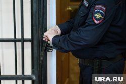 Предусмотрено наказание в виде лишения свободы на срок до пяти лет