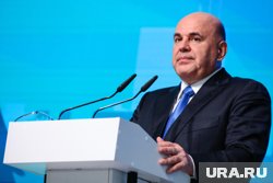 Премьер-министр Михаил Мишустин сообщил, что правительство поддержит аграриев, пострадавших от заморозков в мае 2024 года