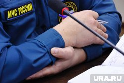 В МЧС РФ сообщили о семи пострадавших при пожаре в Подмосковье